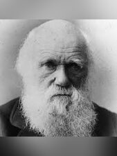 Charles  Darwin
