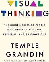 Visual Thinking