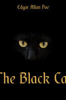 The Black Cat