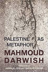 Palestine As Metaphor