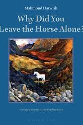 Why did you leave the horse alone?