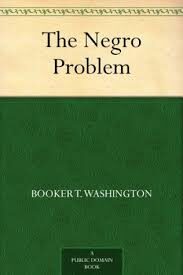 The Negro Problem