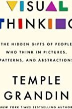 Visual Thinking
