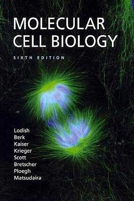 Molecular Cell Biology