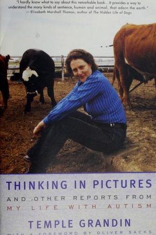 Thinking in Pictures