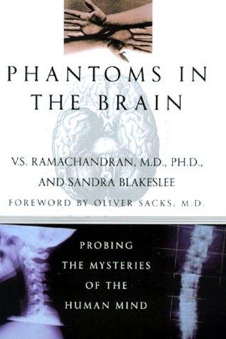 Phantoms in the brain