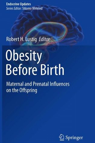 Obesity Before Birth